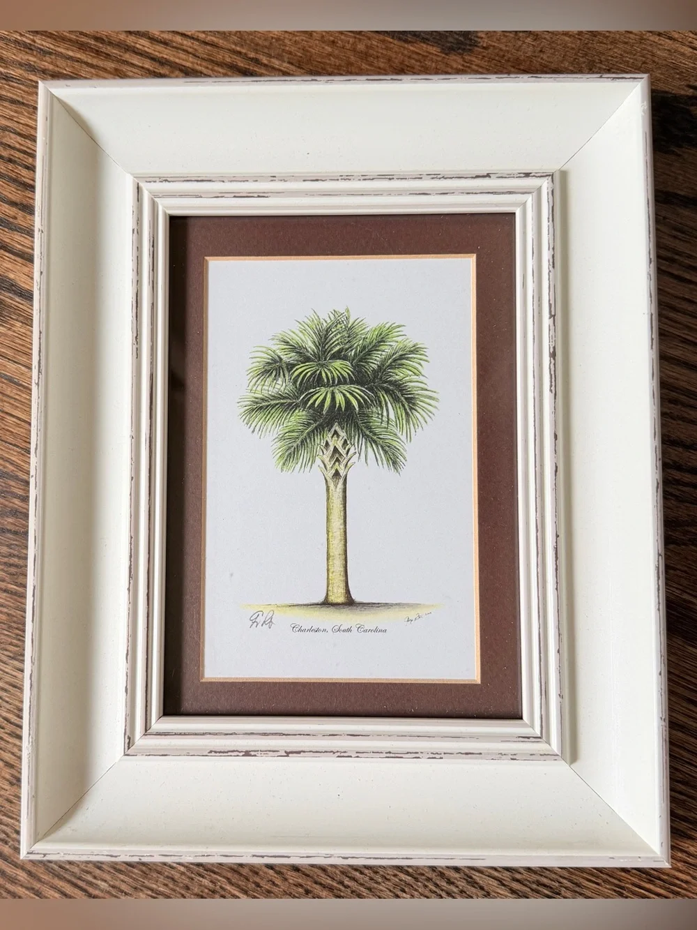 Charleston Pineapple Palm Wall Art Prints Signed George Roberts 2009 Coastal